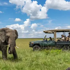 Słoń na tle sawanny i samochód terenowy z turystami podczas wyjazdu na safari.