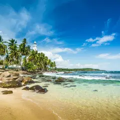 Tropikalna plaża na Sri Lance z latarnią morską i palmami. Po szczepieniach można tu bezpiecznie wypoczywać.