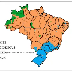Mapa Brazylii z podziałem na grupy etniczne. Dominują kolory pomarańczowy (mieszani), niebieski (biali) i zielony (rdzenni). Brazylia kontynent.