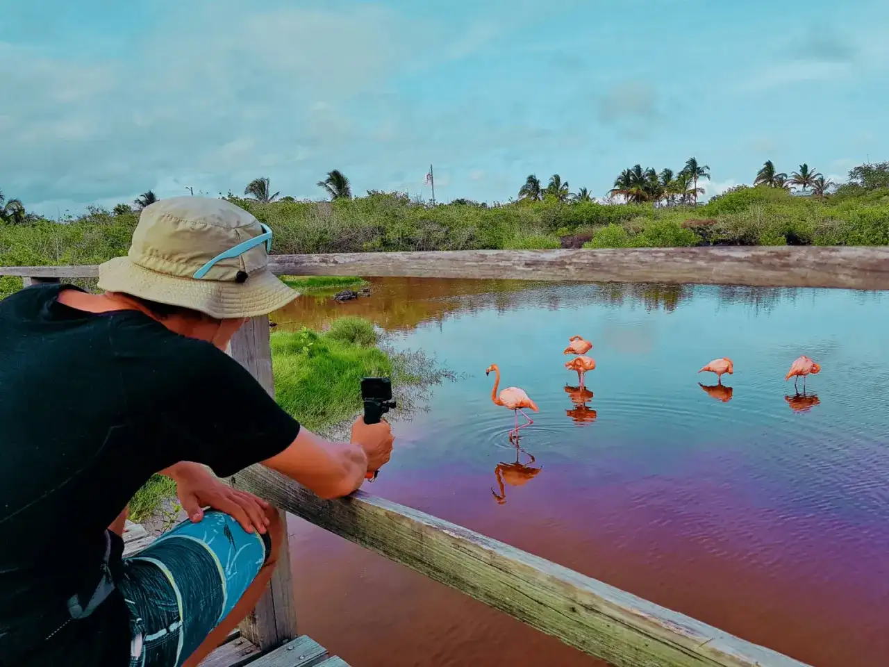 Wycieczka na Galapagos - jak zaplanować ją bez pośpiechu?