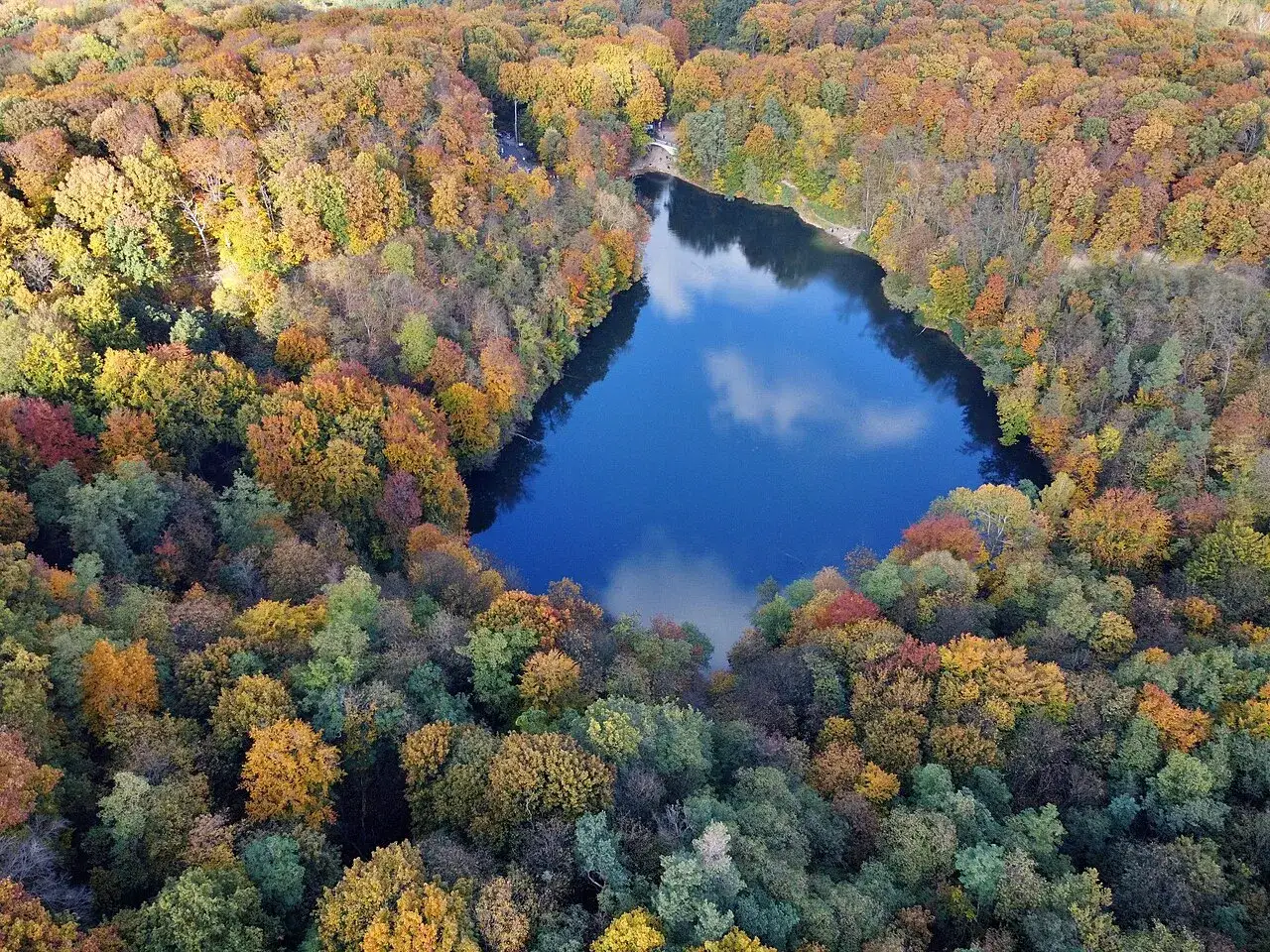 Jesienne drzewa otaczają szmaragdowe oczko wodne, tworząc malowniczy krajobraz.